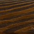 Масло декоративно-защитное для фасадов Dufa Wood Oil Fassade Палисандр